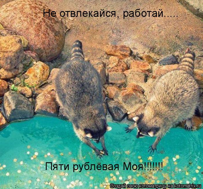 Не отвлекайся, работай..... Пяти рублёвая Моя!!!!!!!... Котоматрица: Не отвлекайся, работай..... Пяти рублёвая Моя!!!!!!!