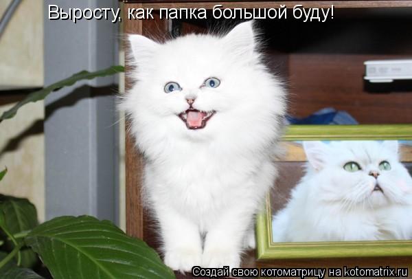 Котоматрица: Выросту, как папка большой буду!
