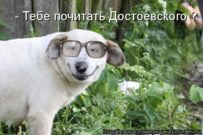 Котоматрица: - Тебе почитать Достоевского ?