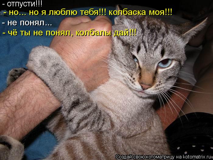 - отпусти!!! - но... но я люблю тебя!!! колбаска моя!!! ... Котоматрица: - отпусти!!! - но... но я люблю тебя!!! колбаска моя!!! - не понял... - чё ты не