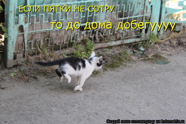ЕСЛИ ПЯТКИ НЕ СОТРУ то до дома добегуууу... Котоматрица: ЕСЛИ ПЯТКИ НЕ СОТРУ то до дома добегуууу
