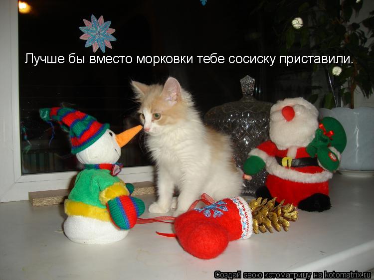 Котоматрица: Лучше бы вместо морковки тебе сосиску приставили.