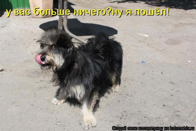 у вас больше ничего?ну я пошёл!... Котоматрица: у вас больше ничего?ну я пошёл!