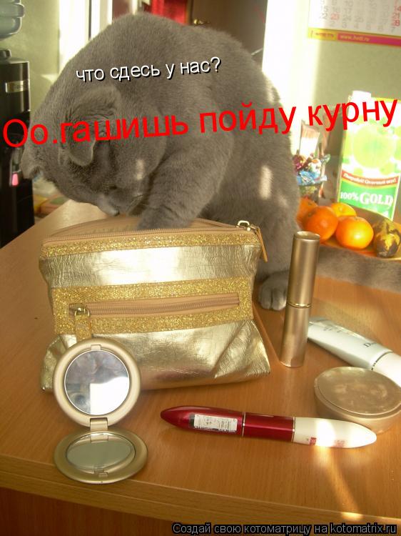 что сдесь у нас? что сдесь у нас? Оо.гашишь пойду курну!... Котоматрица: что сдесь у нас? что сдесь у нас? Оо.гашишь пойду курну!