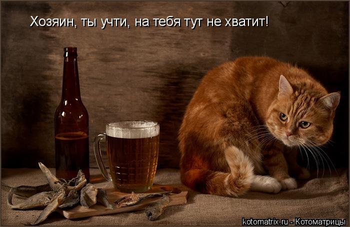 Хозяин, ты учти, на тебя тут не хватит!... Котоматрица: Хозяин, ты учти, на тебя тут не хватит!