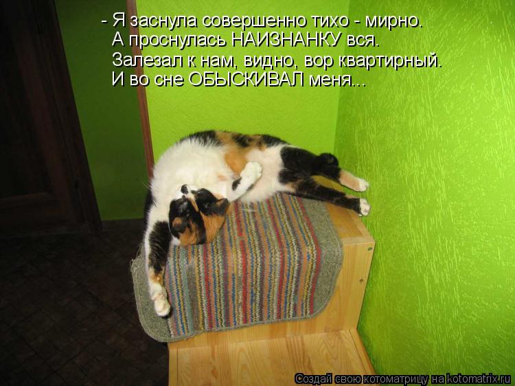- Я заснула совершенно тихо - мирно. А проснулась НАИЗНАНКУ вся. Залезал к нам, видно, вор квартирный... Котоматрица: - Я заснула совершенно тихо - мирно. А проснулась НАИЗНАНКУ вся. Залезал к нам, видно, вор квартирный. И во сне ОБЫСКИВАЛ меня...