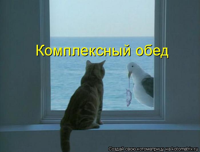 Котоматрица: Комплексный обед