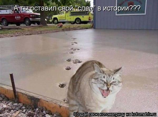 А ты оставил свой "след" в истории???... Котоматрица: А ты оставил свой "след" в истории???