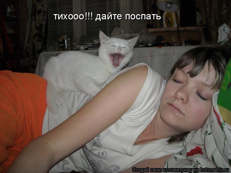 Котоматрица: тихооо!!! дайте поспать