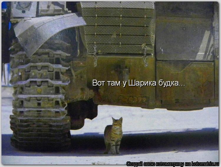 Котоматрица: Вот там у Шарика будка...