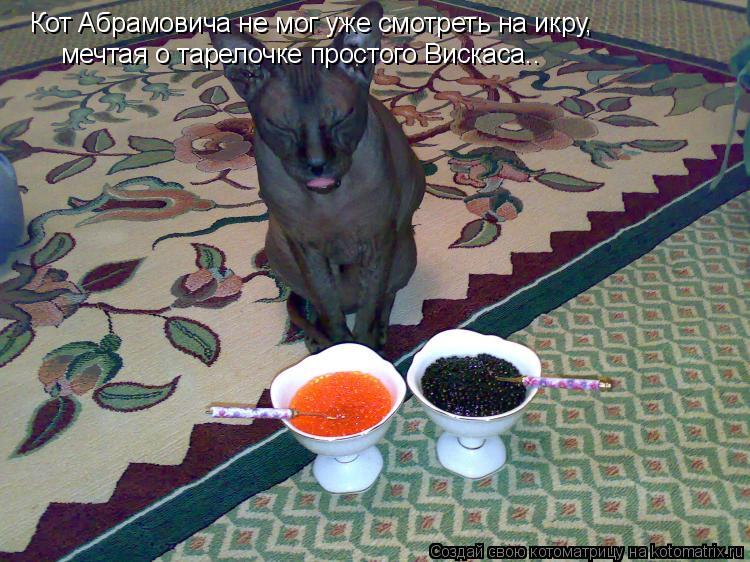 Котоматрица: Кот Абрамовича не мог уже смотреть на икру,  мечтая о тарелочке простого Вискаса..