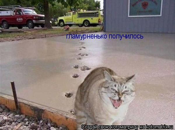 Котоматрица: гламурненько получилось