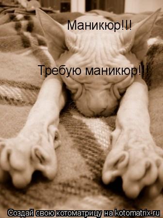 Маникюр!!! Требую маникюр!!!... Котоматрица: Маникюр!!! Требую маникюр!!!