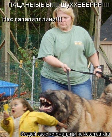 ПАЦАНЫЫЫЫ!!!! ШуХХЕЕЕРРР!!!! Нас папалилллиии!!!... Котоматрица: ПАЦАНЫЫЫЫ!!!! ШуХХЕЕЕРРР!!!! Нас папалилллиии!!!