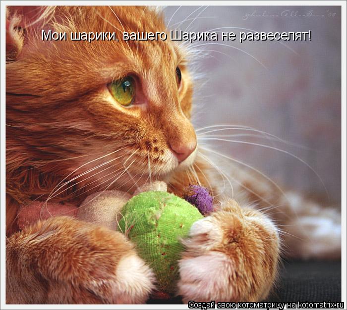 Котоматрица: Мои шарики, вашего Шарика не развеселят!