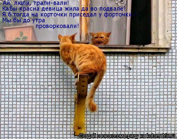 Котоматрица: Ай, люли, трали-вали! Кабы красна девица жила да во подвале! Я б тогда на корточки приседал у форточки - Мы бы до утра проворковали!