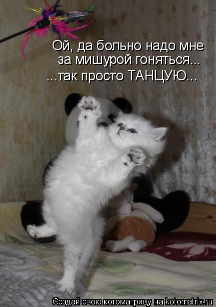 Котоматрица: Ой, да больно надо мне  за мишурой гоняться... ...так просто ТАНЦУЮ...