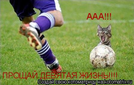 Котоматрица: ААА!!! ПРОЩАЙ ДЕВЯТАЯ ЖИЗНЬ!!!!