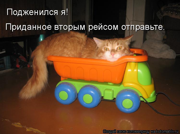 Котоматрица: Подженился я! Приданное вторым рейсом отправьте.