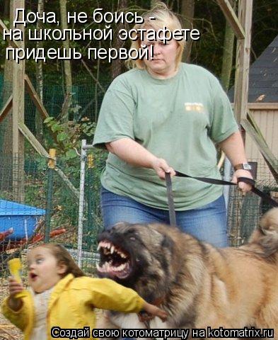 Котоматрица: Доча, не боись -  на школьной эстафете придешь первой!