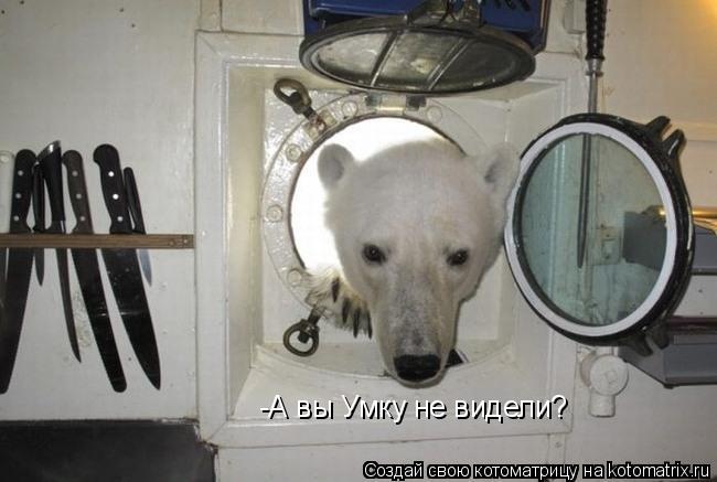 -А вы Умку не видели?... Котоматрица: -А вы Умку не видели?