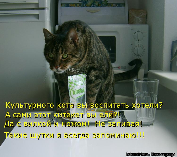 Культурного кота вы воспитать хотели? А сами этот китекет вы ели?! Да с вилкой и ножом! Не запивая! ... Котоматрица: Культурного кота вы воспитать хотели? А сами этот китекет вы ели?! Да с вилкой и ножом! Не запивая! Такие шутки я всегда запоминаю!!!