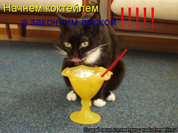 Котоматрица: Начнем коктейлем     а закончим водкой    !!!!!