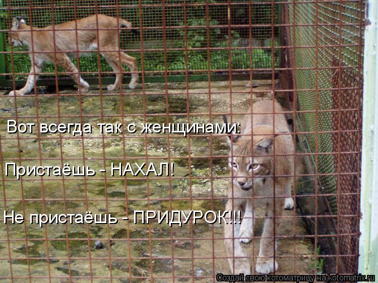 Котоматрица: Вот всегда так с женщинами: Пристаёшь - НАХАЛ! Не пристаёшь - ПРИДУРОК!!!