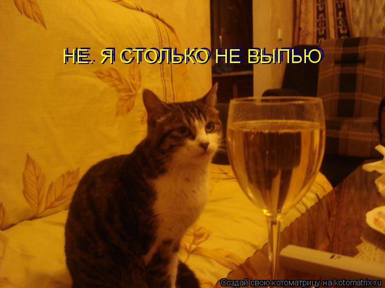 http://kotomatrix.ru/images/lolz/2010/05/21/579801.jpg