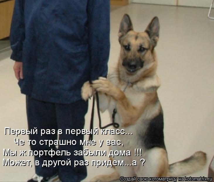 Первый раз в первый класс... Че то страшно мне у вас, Мы ж портфель забыли дома !!! Может, в другой р... Котоматрица: Первый раз в первый класс... Че то страшно мне у вас, Мы ж портфель забыли дома !!! Может, в другой раз придем...а ?