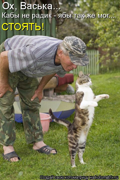 Котоматрица: Ох, Васька... Кабы не радик - ябы так же мог... СТОЯТЬ!