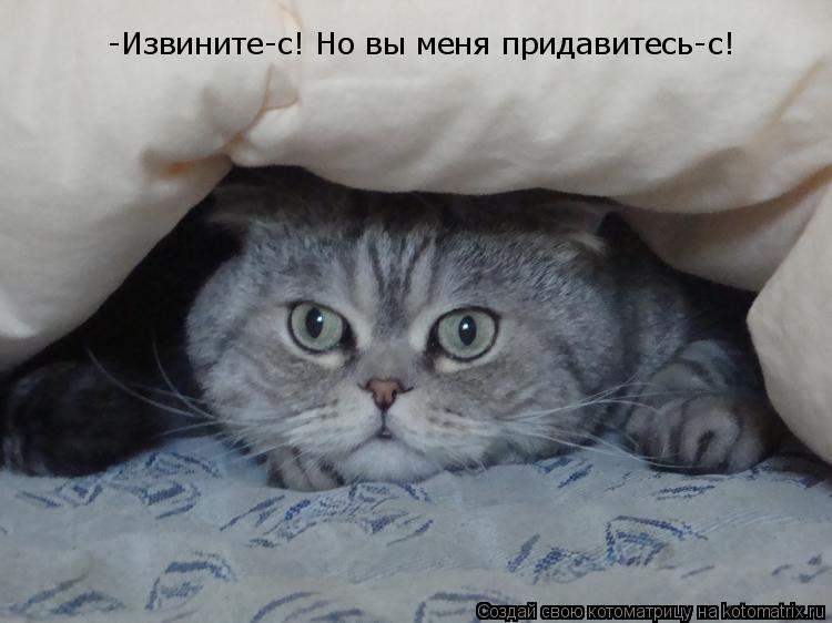 Котоматрица: -Извините-с! Но вы меня придавитесь-с!