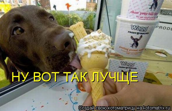 НУ ВОТ ТАК ЛУЧЩЕ... Котоматрица: НУ ВОТ ТАК ЛУЧЩЕ