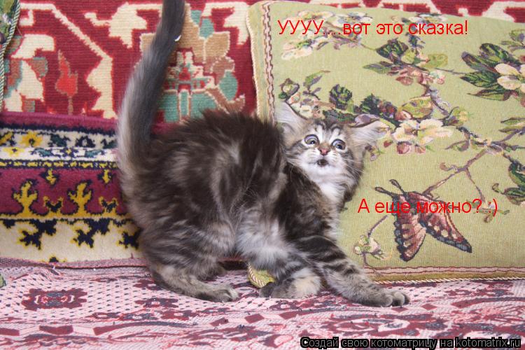 Котоматрица: УУУУ....вот это сказка! А еще можно? :)