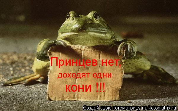 Котоматрица: Принцев нет,     Принцев нет,     доходят одни  доходят одни  кони !!!