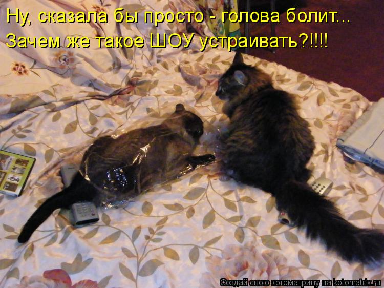 Ну, сказала бы просто - голова болит... Зачем же такое ШОУ устраивать?!!!!... Котоматрица: Ну, сказала бы просто - голова болит... Зачем же такое ШОУ устраивать?!!!!