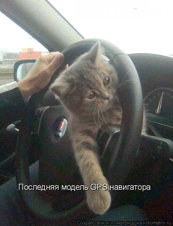 Котоматрица: Последняя модель GPS навигатора