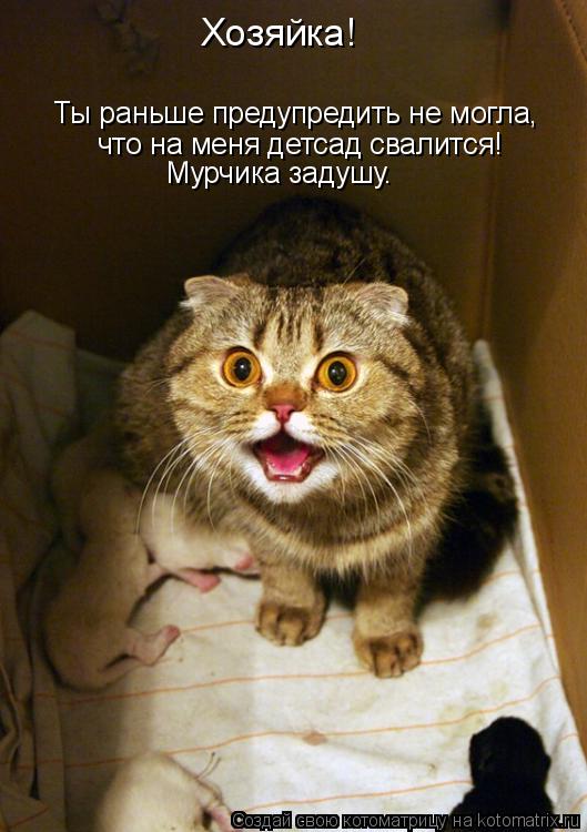 Хозяйка! Ты раньше предупредить не могла, что на меня детсад свалится! Мурчика задушу.... Котоматрица: Хозяйка! Ты раньше предупредить не могла, что на меня детсад свалится! Мурчика задушу.