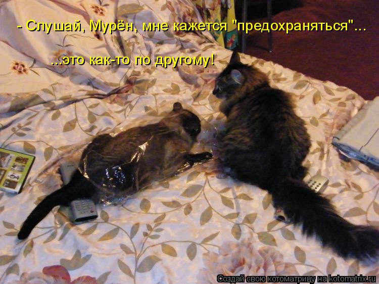Котоматрица: - Слушай, Мурён, мне кажется "предохраняться"... ...это как-то по другому!