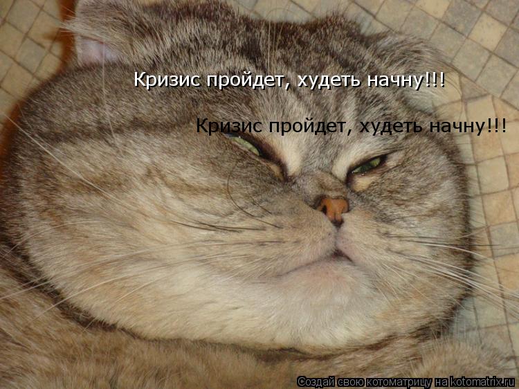 Кризис пройдет, худеть начну!!! Кризис пройдет, худеть начну!!!... Котоматрица: Кризис пройдет, худеть начну!!! Кризис пройдет, худеть начну!!!