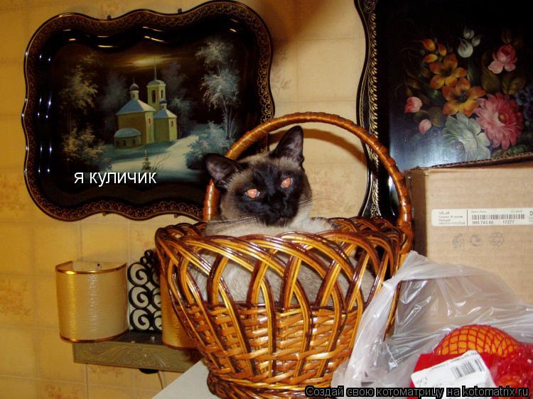 Котоматрица: я куличик