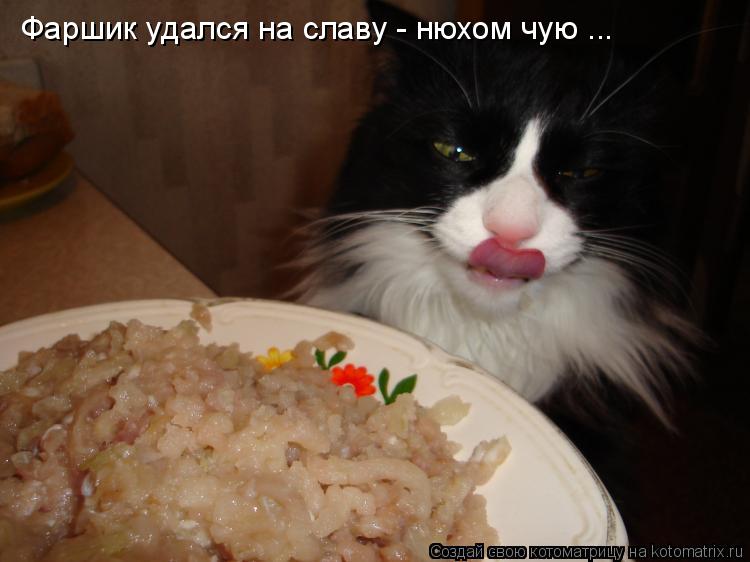 Фаршик удался на славу - нюхом чую ...... Котоматрица: Фаршик удался на славу - нюхом чую ...