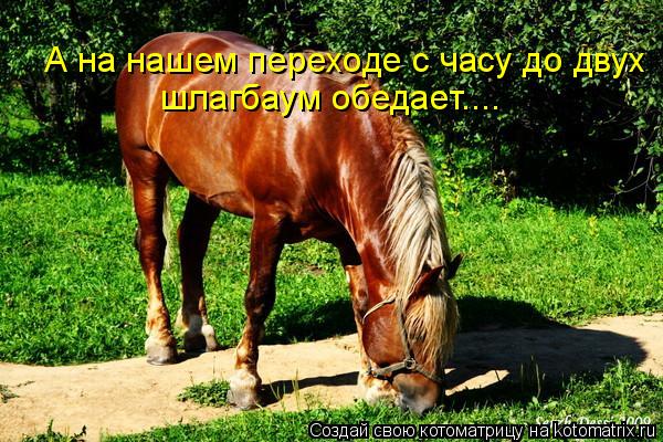 шлагбаум обедает.... А на нашем переходе с часу до двух... Котоматрица: шлагбаум обедает.... А на нашем переходе с часу до двух