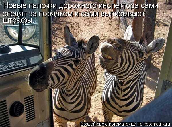 Котоматрица: Новые палочки дорожного инспектора сами следят за порядком и сами выписывают  штрафы.