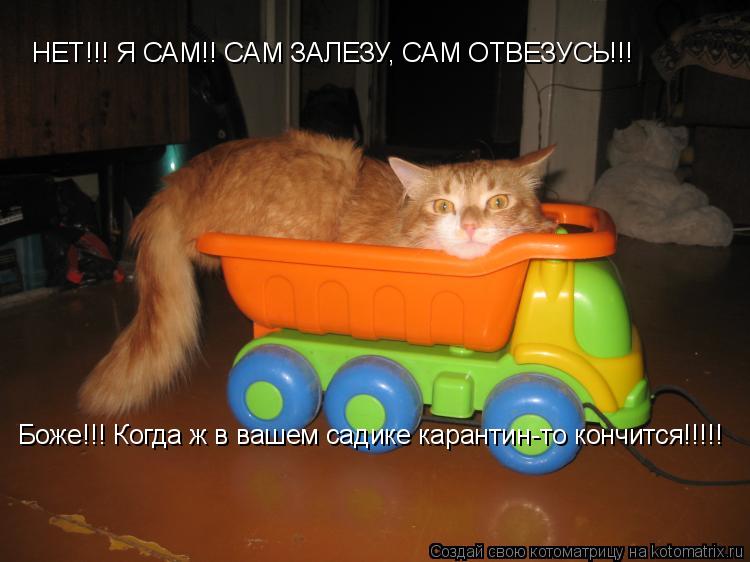 Котоматрица: НЕТ!!! Я САМ!! САМ ЗАЛЕЗУ, САМ ОТВЕЗУСЬ!!! Боже!!! Когда ж в вашем садике карантин-то кончится!!!!!