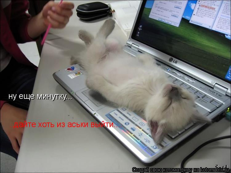 Котоматрица: ну еще минутку... ..дайте хоть из аськи выйти....
