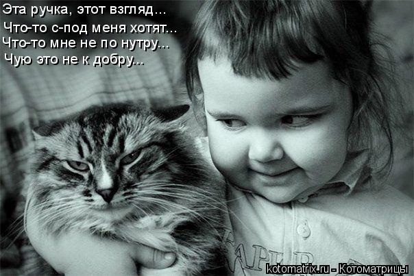 Котоматрица: Эта ручка, этот взгляд... Что-то с-под меня хотят... Чую это не к добру... Что-то мне не по нутру...