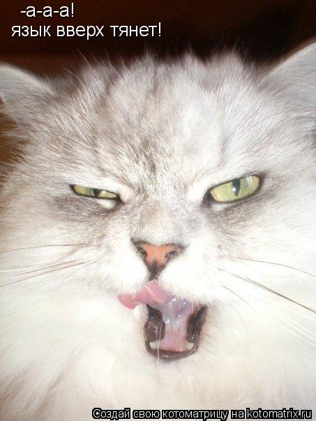 Котоматрица: -а-а-а! язык вверх тянет!