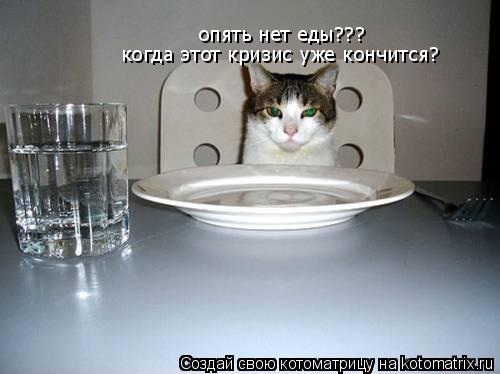 Котоматрица: опять нет еды??? когда этот кризис уже кончится?