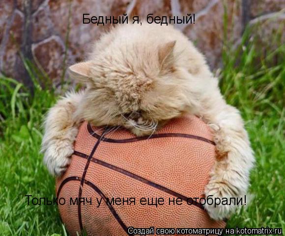 Котоматрица: Бедный я, бедный! Только мяч у меня еще не отобрали!